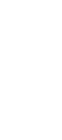 footer_shape_2